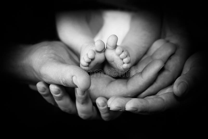 baby feet zdjęcie stock baby feet zdjęcie stock