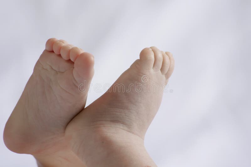 Baby Feet stock photo. Image of feet, pair, delicate, newborn 462664