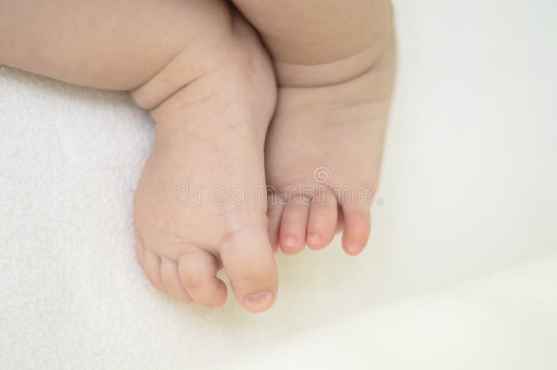 Baby feet stock photo. Image of cuticle, isolated, beauty 59072984