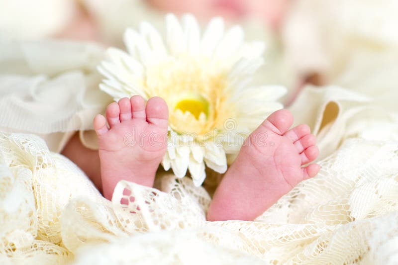 Baby feet with flower stock image. Image of infant, health 29519643