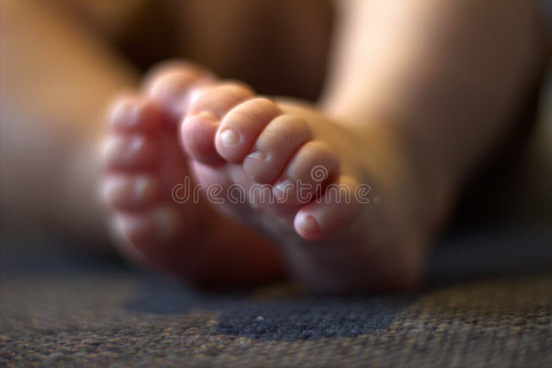 Baby feet and hands stock photo. Image of health, gentle 103142910