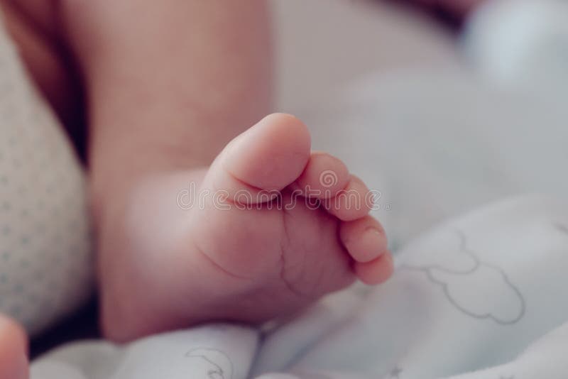 Baby little feet stock photo. Image of sweet, small 114682968
