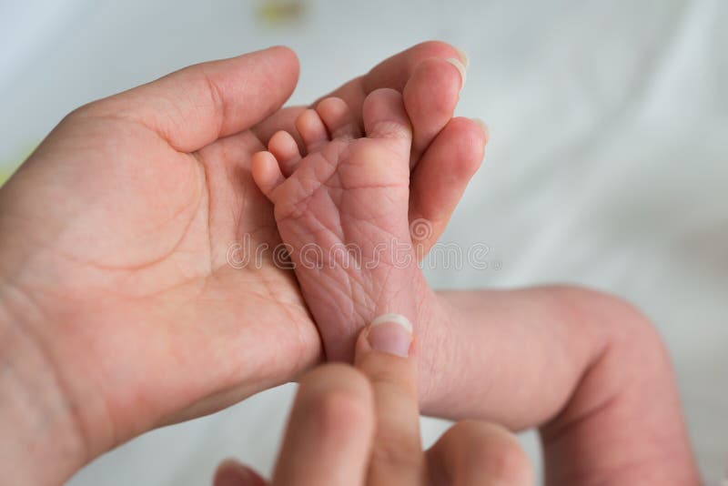 Baby Feet In Mother`s Hand stock photos Baby Feet In Mother`s Hand stock photos