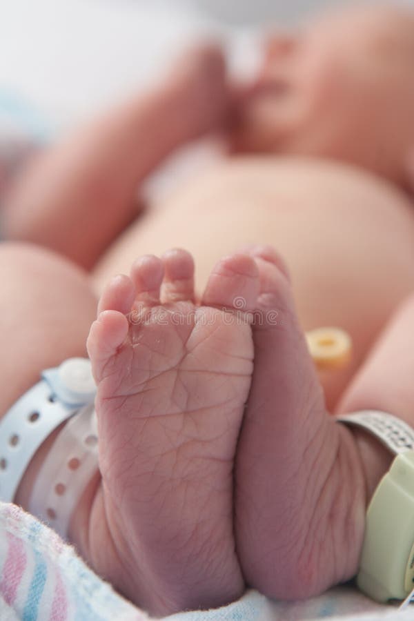 Baby Feet: Newborn