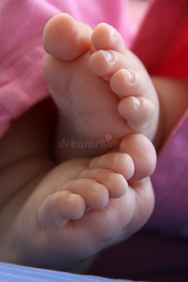 Baby Feet on White stock photo. Image of small, foot - 12607588