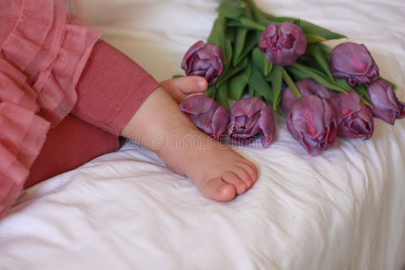 497 Baby Feet Purple Stock Photos Free & RoyaltyFree Stock Photos