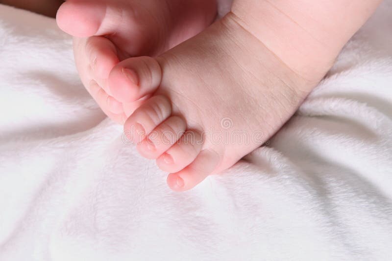 Baby Feet and Toes stock image. Image of white, soft, foot 3946321