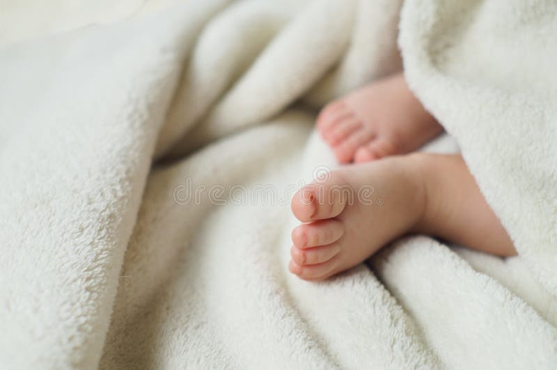 Baby feet under blanket stock photo. Image of baby, tenderness 44509070
