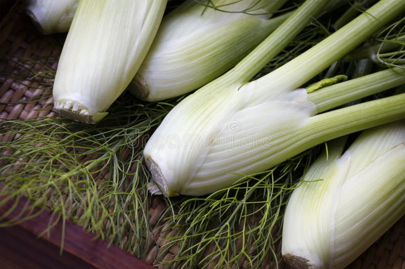 Baby Fennel stock image. Image of vegetable, mini, horizontal 85876011