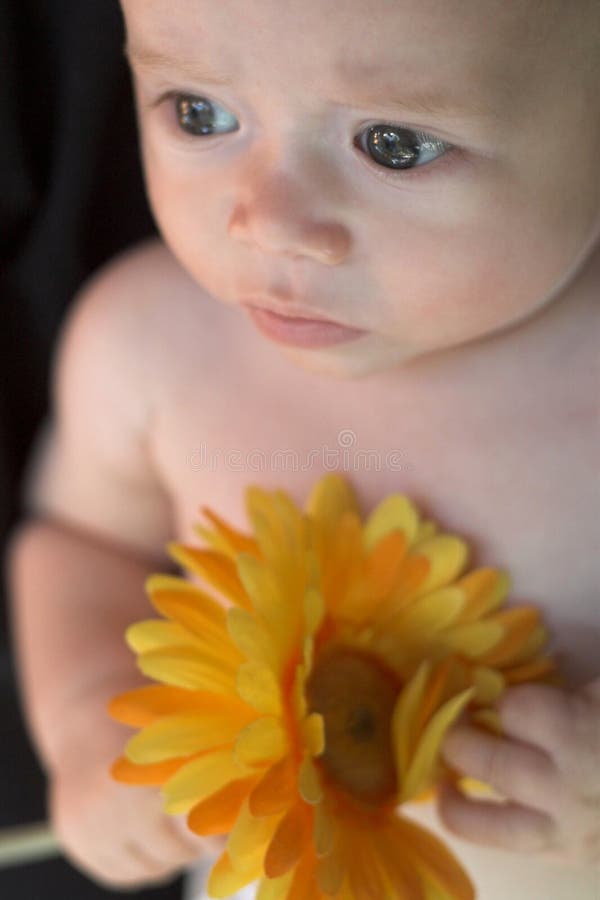 Baby Feet With Flower Picture. Image 14979658