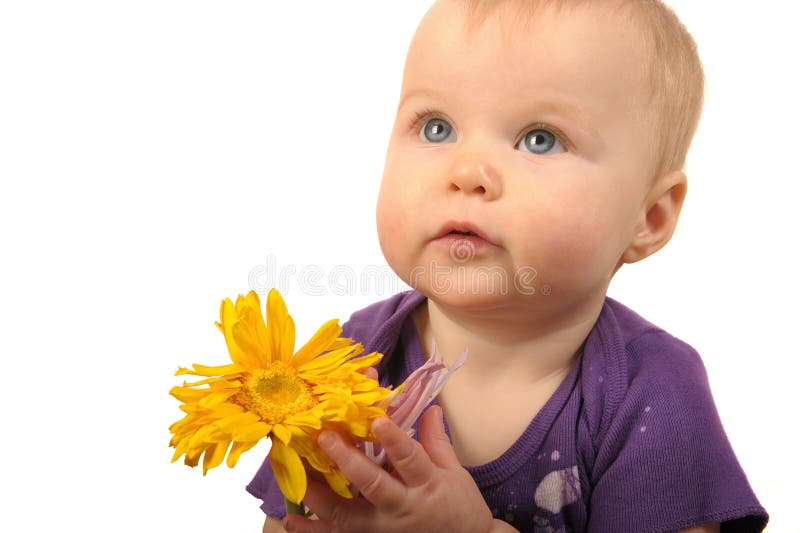 Baby with Flower stock image. Image of little, newborn 8011169