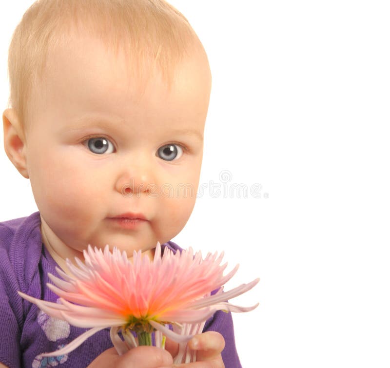 Baby with Flower stock image. Image of little, newborn 8011169