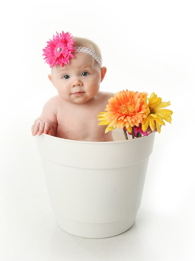 Baby girl in a flower pot stock photo. Image of isolated 17672268