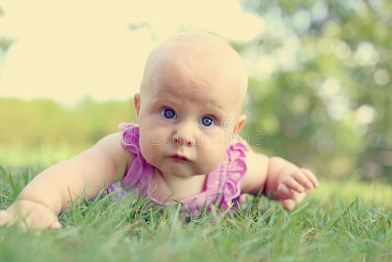 Baby Girl Laying on Tummy in Grass stock images