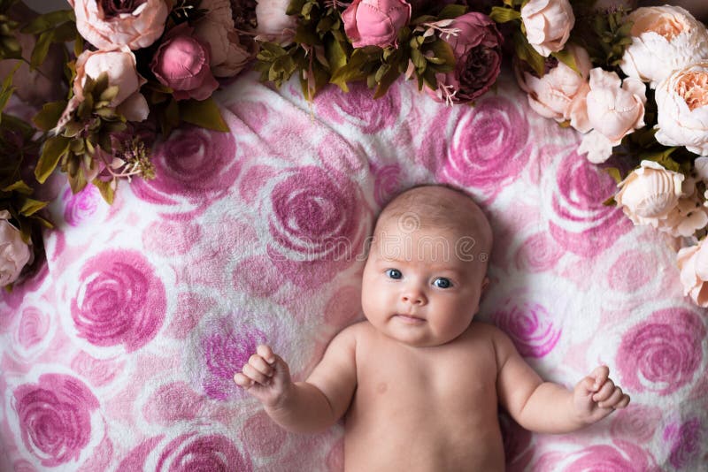 Baby Girl on a Light Pink Background with Roses Flowers, Close U Stock ...