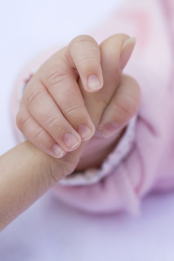 Baby Hand stock photo. Image of tenderness, close, baby 6612888