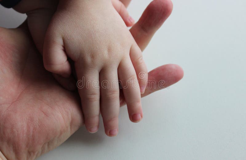 Human Hand Stock Photo - Download Image Now - Small, Human Hand