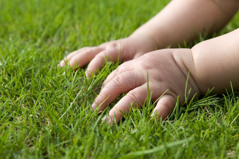 Baby hands on grass
