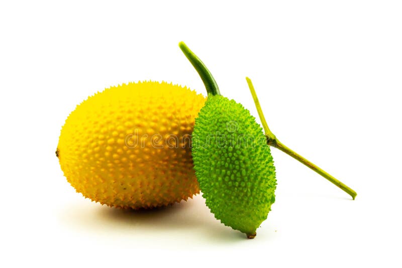 Baby Jackfruit Isolated On White Background Stock Photo Image of healthy, sweet 124045692