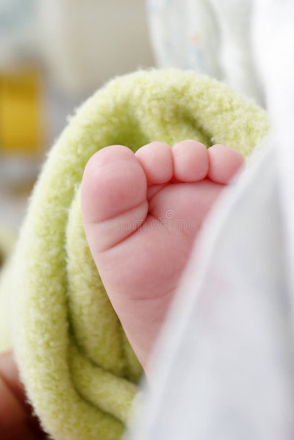 Baby leg in bed stock image. Image of finger, thumb, animal 3755171