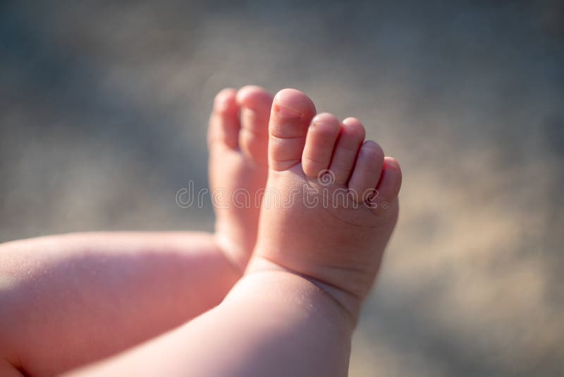 Baby Legs Feets 6 Month Baby Lens Flaire Stock Photo Image Of Childhood Family 126413438