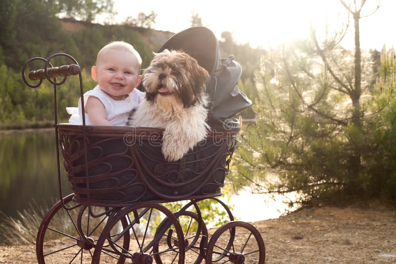 Baby and little puppy in a pram