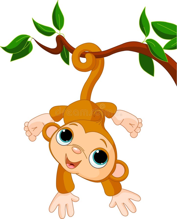 Baby monkey on a tree