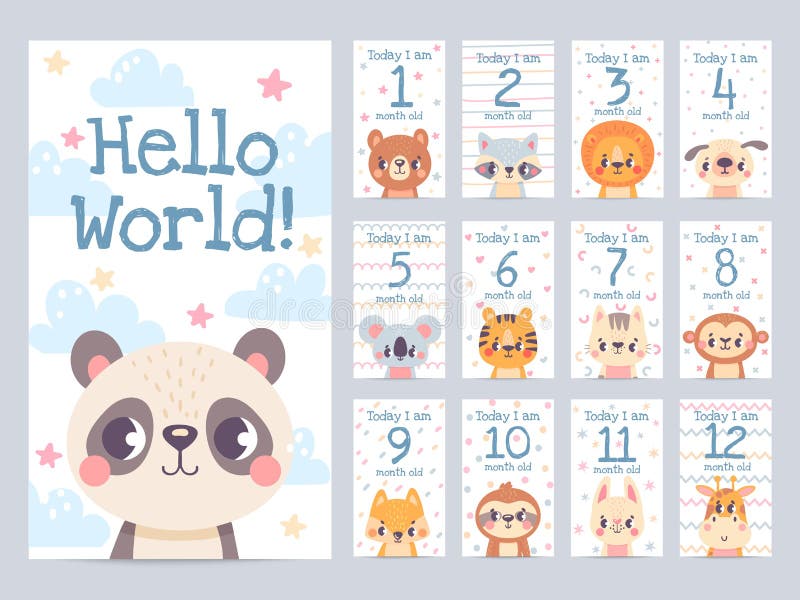 Newborn Photo Paste Props NUOBESTY Baby Monthly Milestone Stickers 12pcs Baby Month Decals Adorable Animal Month Sticker
