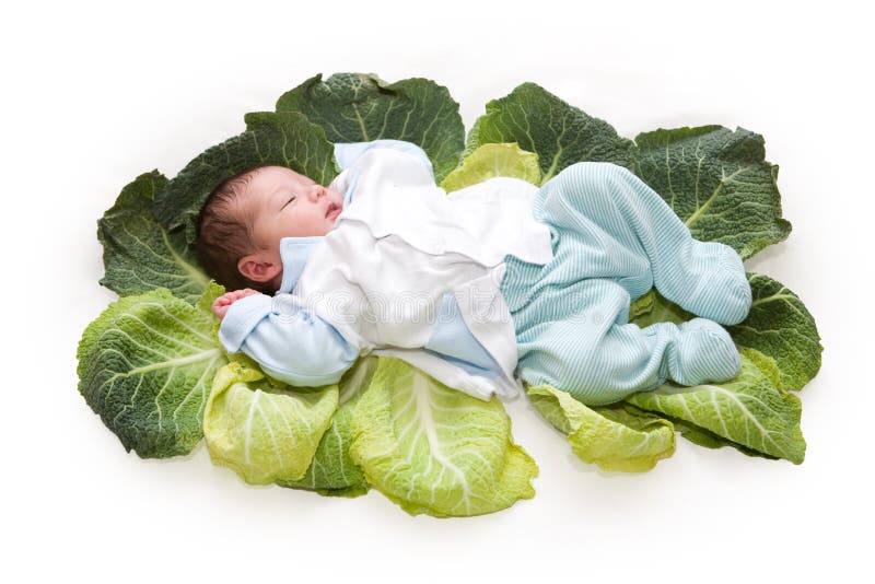 Cute Newborn Baby In The Cabbage Stock Image Image of close, human