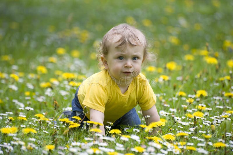 Baby op een bloemrijke weide royalty-vrije stock fotografie Baby op een bloemrijke weide royalty-vrije stock fotografie
