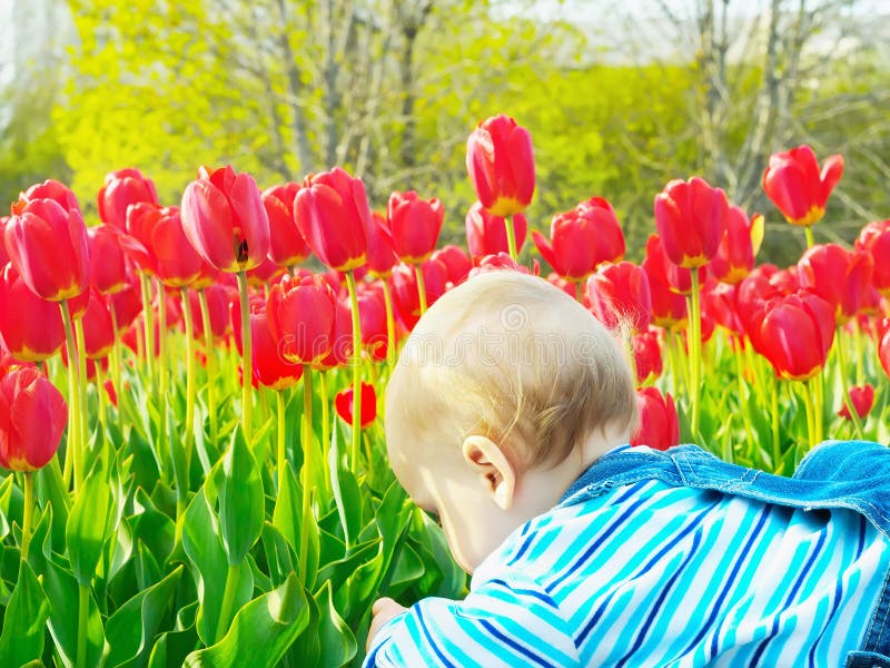 Baby op het tulpengebied royalty-vrije stock foto's