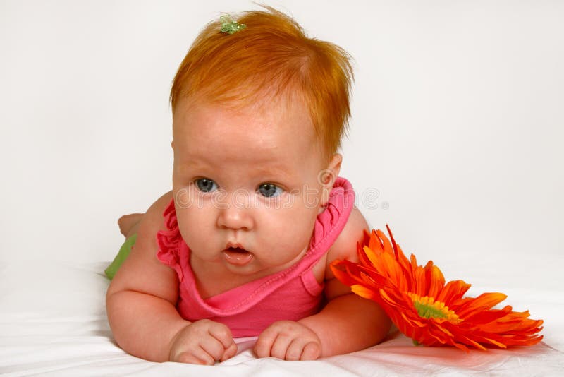 110,285 Baby Orange Stock Photos Free & RoyaltyFree Stock Photos