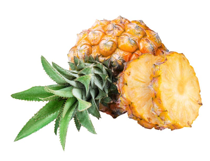 534 Pineapple Baby Isolated Stock Photos Free & RoyaltyFree Stock