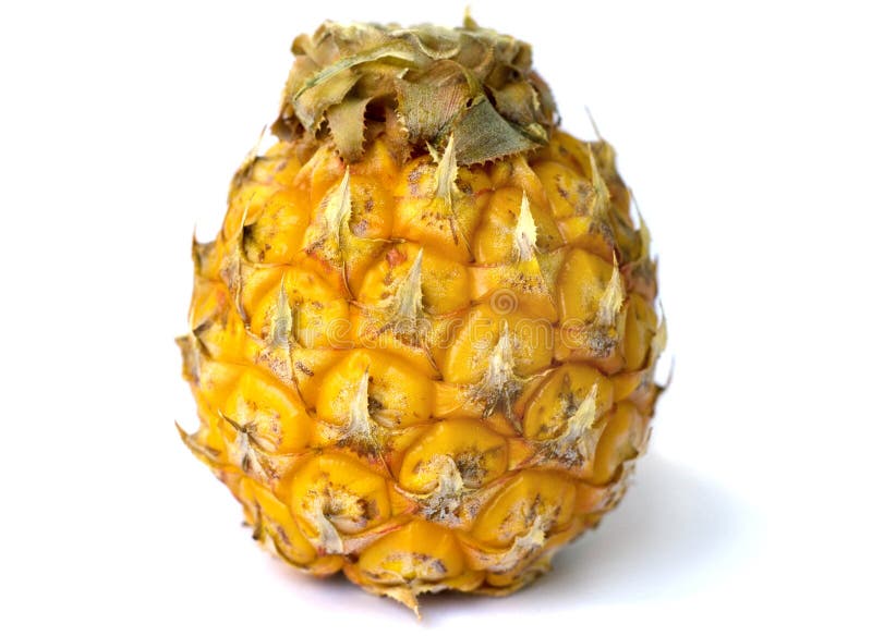 Baby pineapple stock photo. Image of pineapple, food 51403828