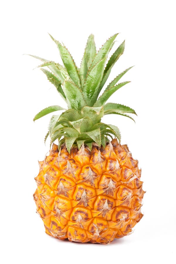 Baby pineapple stock image. Image of nature, pineapple 30334093