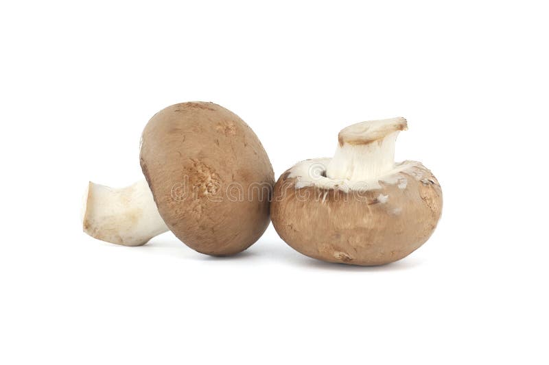 Baby Portobellos Mushrooms Isolated on White Stock Image - Image of