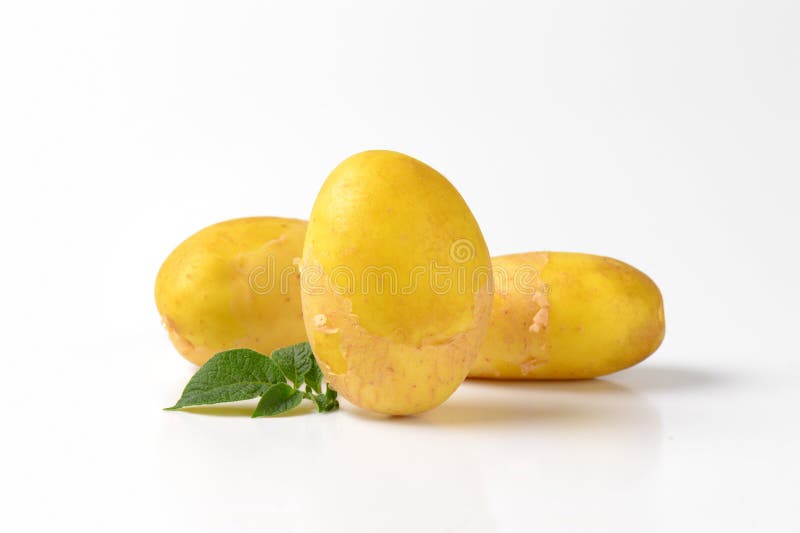 Baby potatoes stock photo. Image of root, plant, healthy 57300776