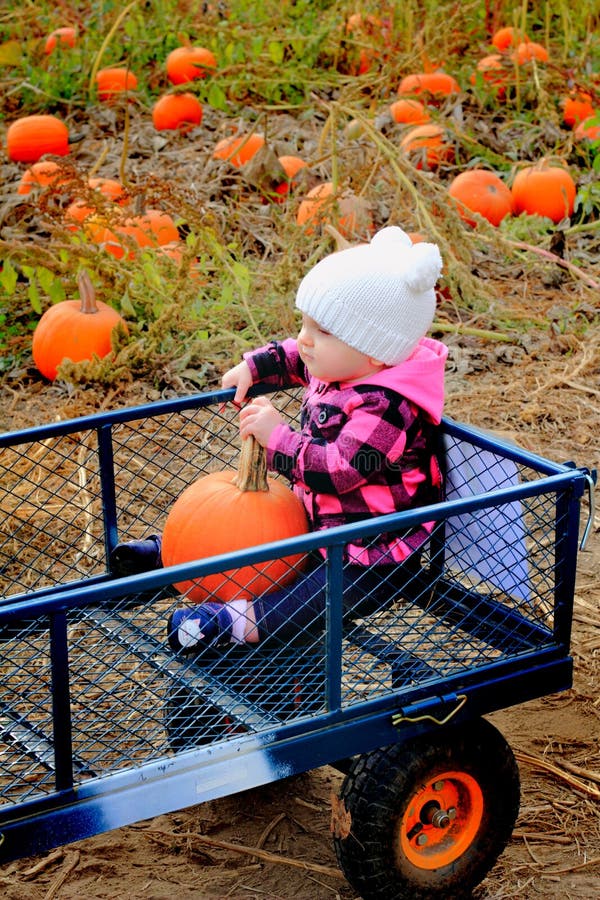 Baby riding in pumpkin patch wagon royalty free stock photography Baby riding in pumpkin patch wagon royalty free stock photography