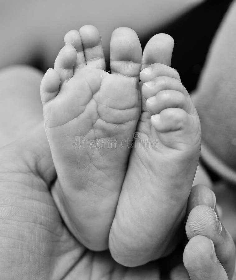Baby s feet stock photo. Image of beginnings, feet, months 43547486