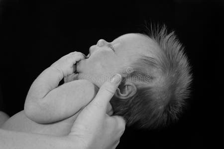 Baby s first cry stock image. Image of holding, adorable - 3240023