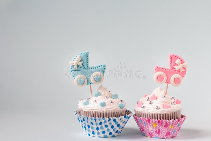 Baby shower cupcake for a girl and a boy. Twins newborn announcement. Text space