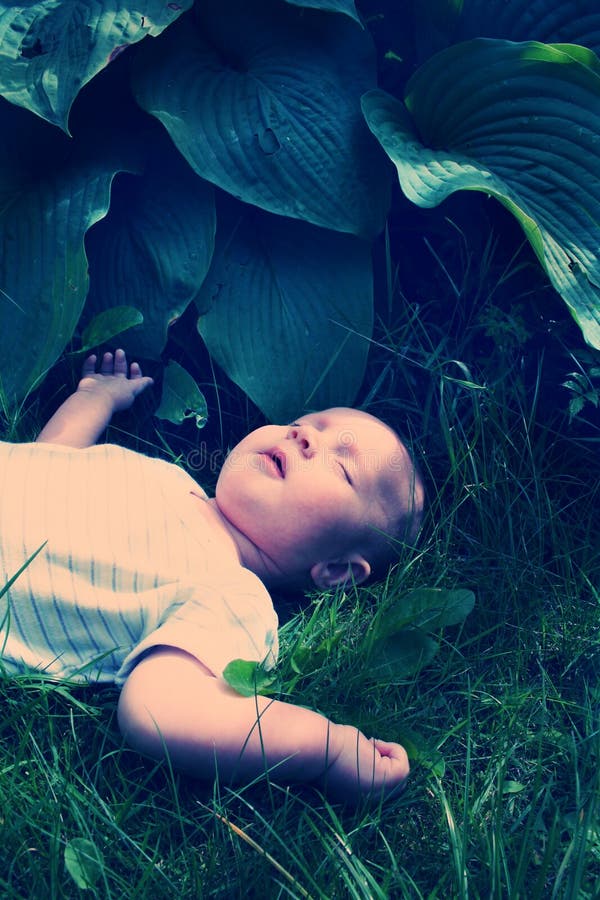 Baby sleeping royalty free stock photo