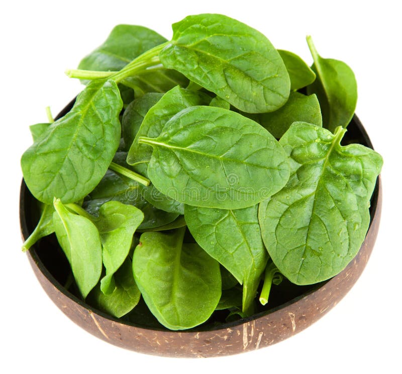 Baby spinach leaves stock image. Image of food, fresh - 112576041
