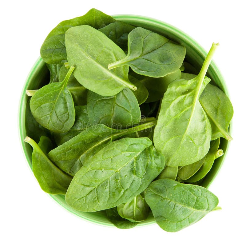 Baby spinach leaves stock photo. Image of spinach, ingredient - 112693856