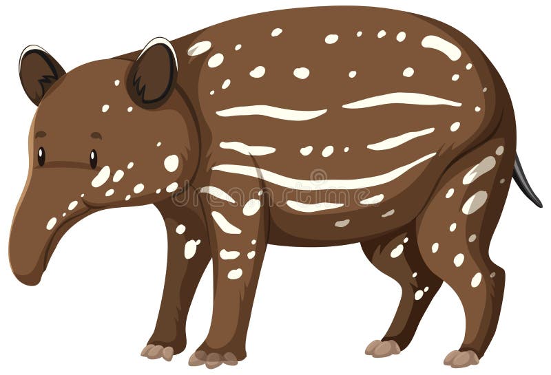 Baby Tapir Wild Animal on White Background Stock Vector - Illustration of  nature, animal: 220311727