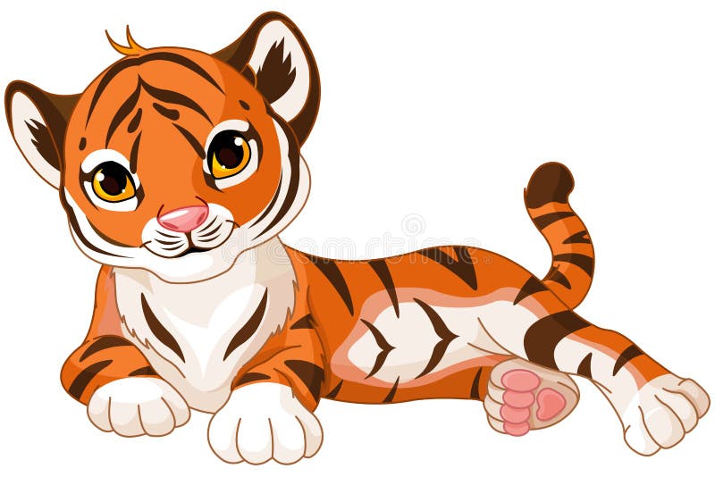 Baby Tiger royalty free illustration Baby Tiger royalty free illustration