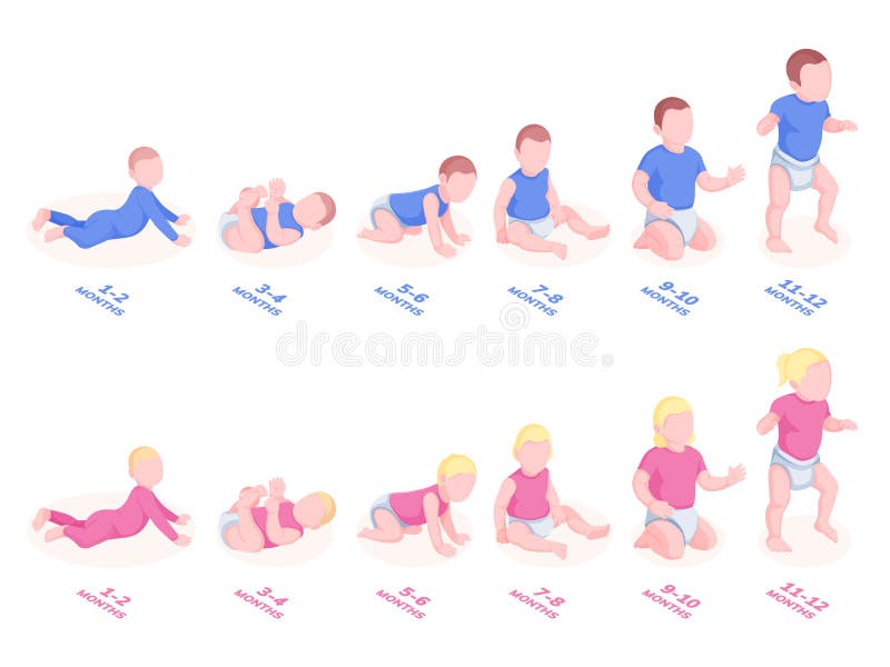 Baby Growth Development Stock Illustrations – 5,518 Baby Growth ...