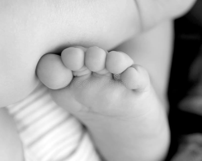 Baby Toes-Black and White