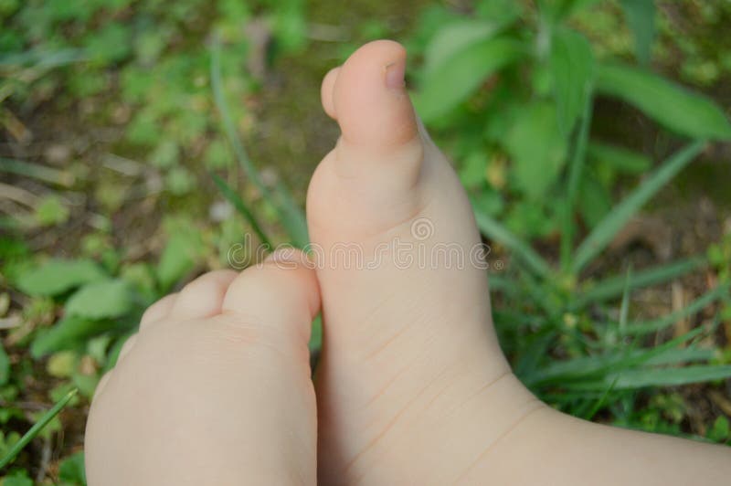Baby toes stock photo. Image of baby, toes, closeup, outside 84610870