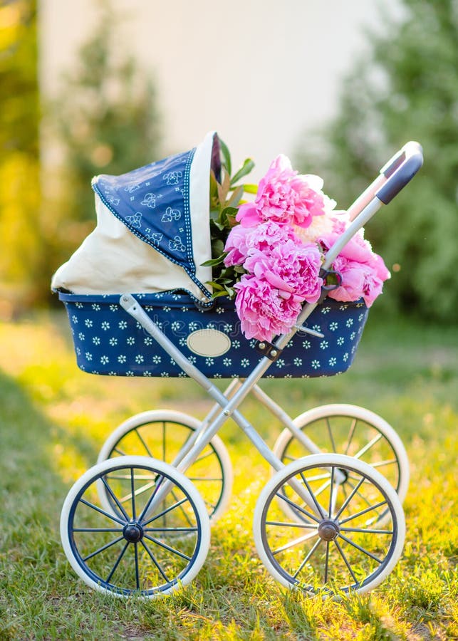 Baby Toy Stroller With Flowers Stock Image Image of children, baby
